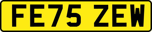 FE75ZEW
