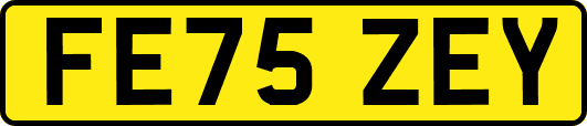 FE75ZEY