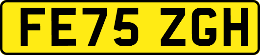FE75ZGH