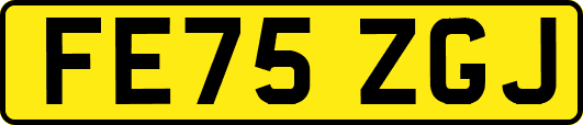 FE75ZGJ