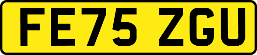 FE75ZGU