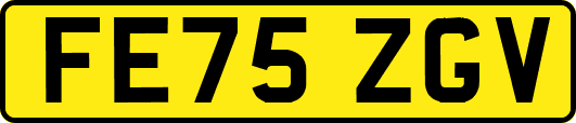 FE75ZGV