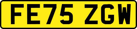 FE75ZGW