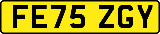 FE75ZGY