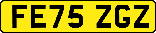 FE75ZGZ