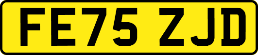 FE75ZJD
