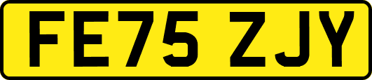 FE75ZJY