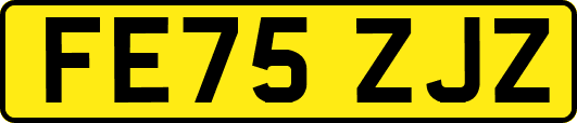 FE75ZJZ