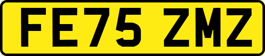 FE75ZMZ