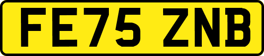FE75ZNB