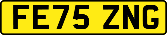 FE75ZNG