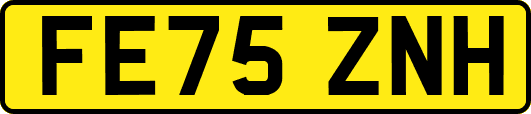FE75ZNH