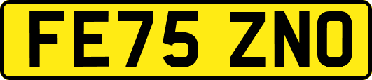 FE75ZNO