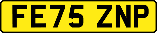 FE75ZNP