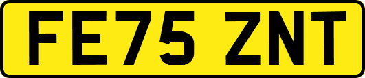 FE75ZNT