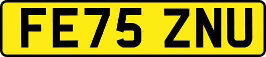 FE75ZNU