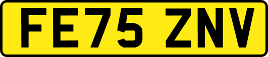 FE75ZNV