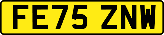 FE75ZNW