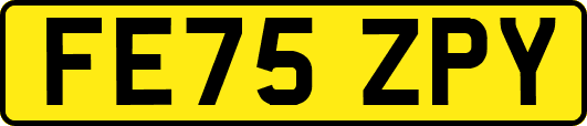 FE75ZPY