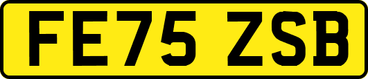 FE75ZSB