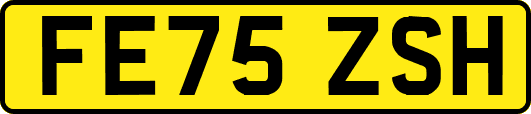 FE75ZSH