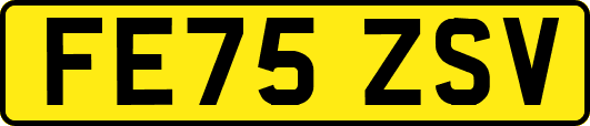FE75ZSV