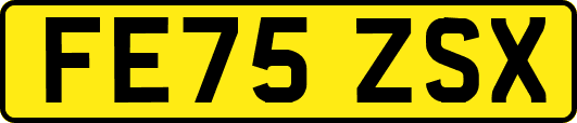 FE75ZSX