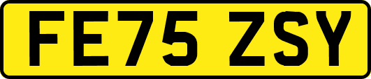 FE75ZSY