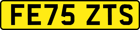 FE75ZTS