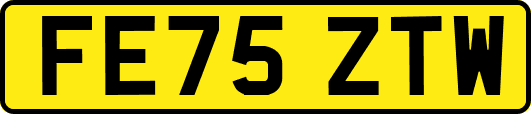 FE75ZTW