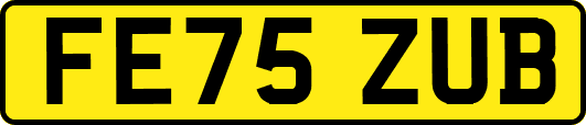 FE75ZUB
