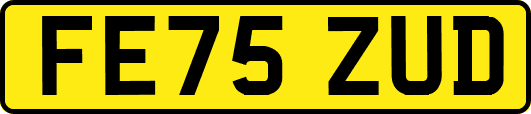 FE75ZUD