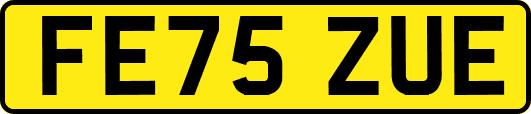 FE75ZUE