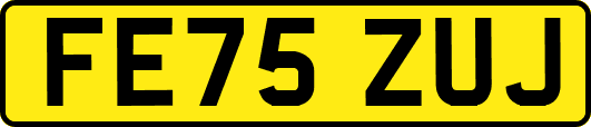 FE75ZUJ