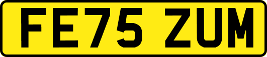 FE75ZUM