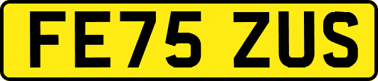 FE75ZUS