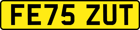 FE75ZUT