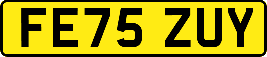 FE75ZUY