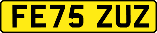 FE75ZUZ