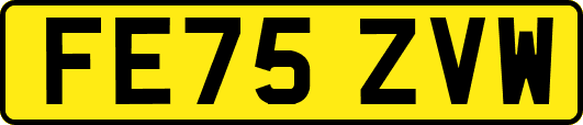 FE75ZVW