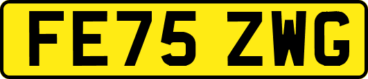 FE75ZWG