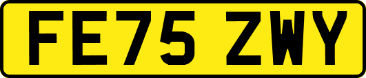 FE75ZWY