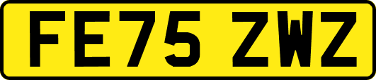 FE75ZWZ