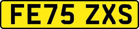 FE75ZXS