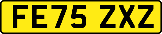 FE75ZXZ
