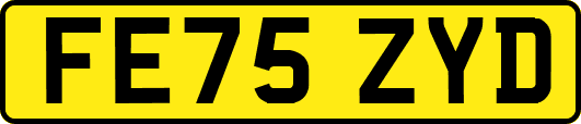 FE75ZYD