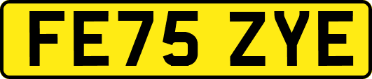FE75ZYE