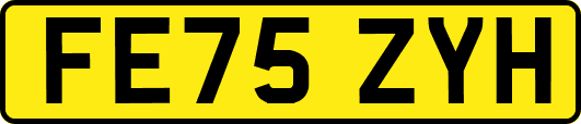 FE75ZYH