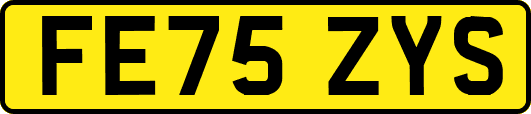 FE75ZYS