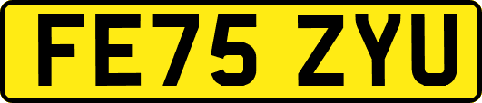 FE75ZYU